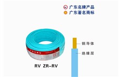 RV ZR-RVJ9集团|国际站官网电缆 RV ZR-RVJ9集团|国际站官网电缆